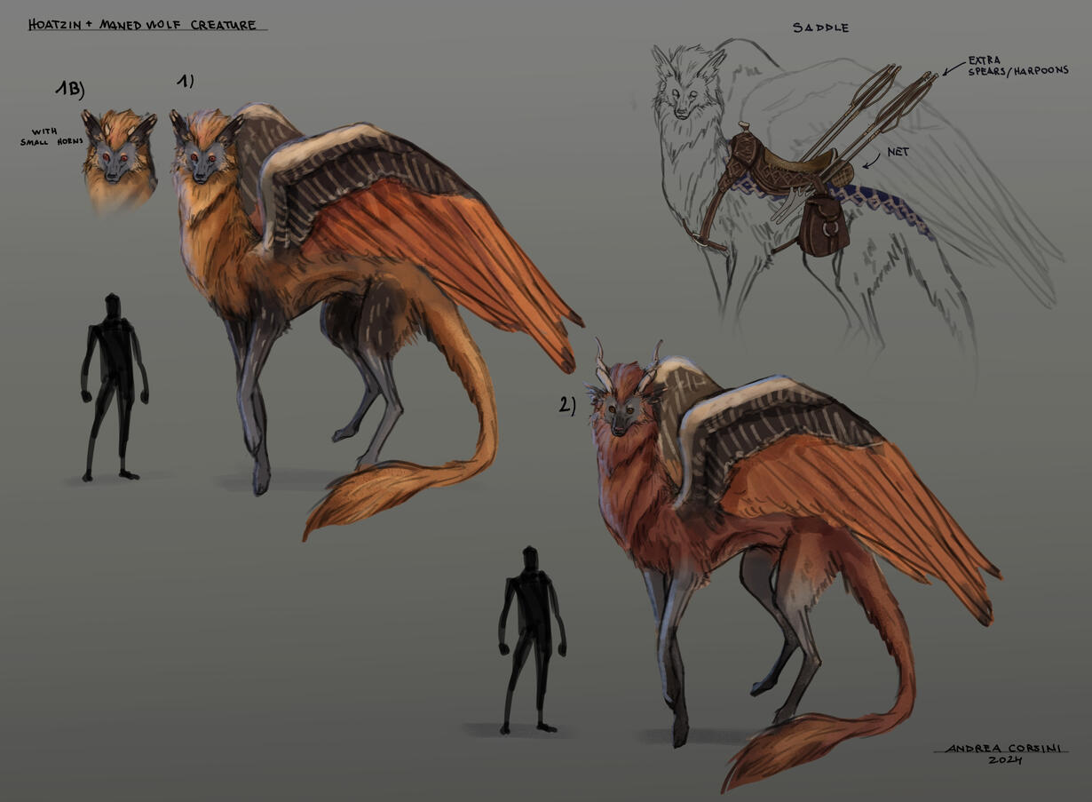 Skyrider concepts